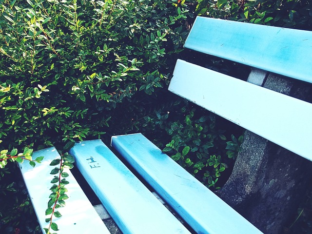 以贺首维为 以贺首维为