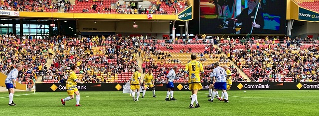 阵容完整 阵容完整