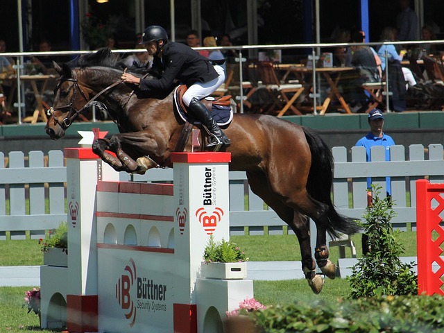 据上逐步接 据上逐步接