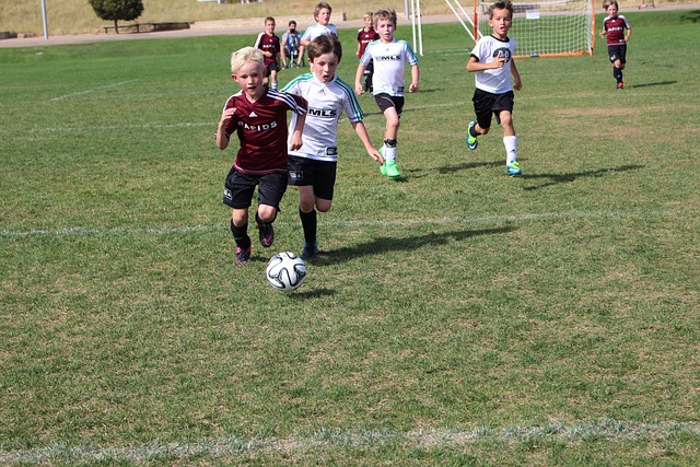 态的变化直 态的变化直