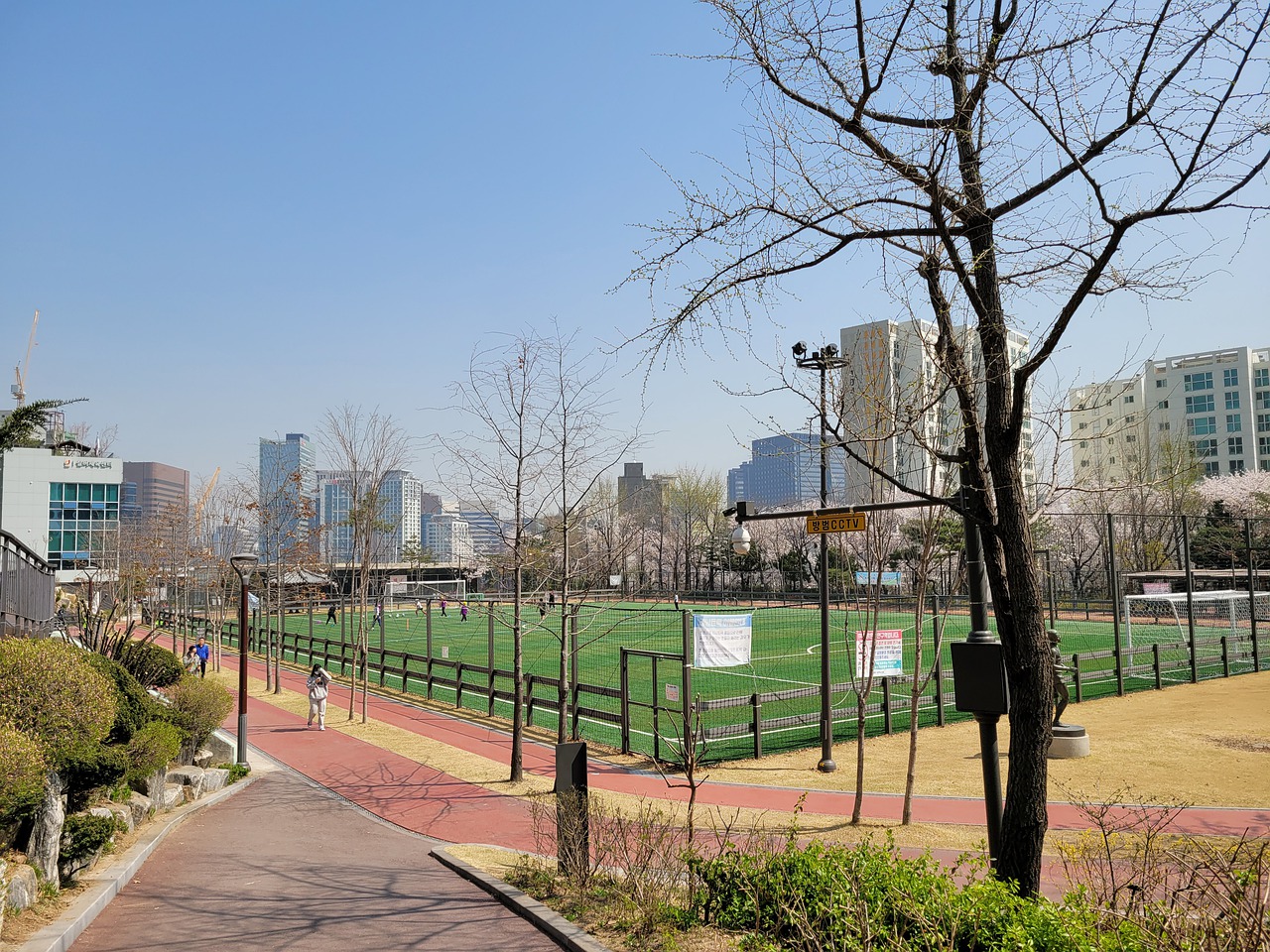 案例的评析 案例的评析